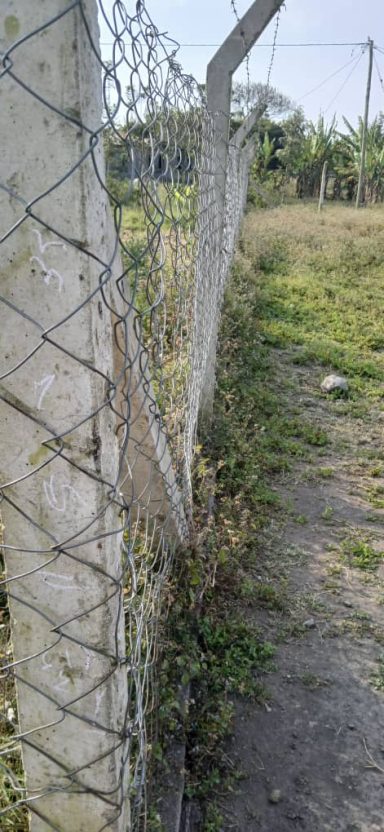 4 Zaunansichten Der Zaun von links