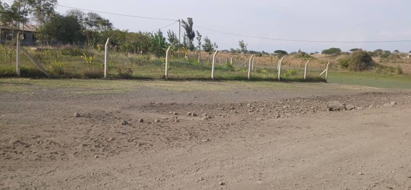 3 fertiger Zaun Anfang 2022 Ein Zaun der die Wildtiere abhält