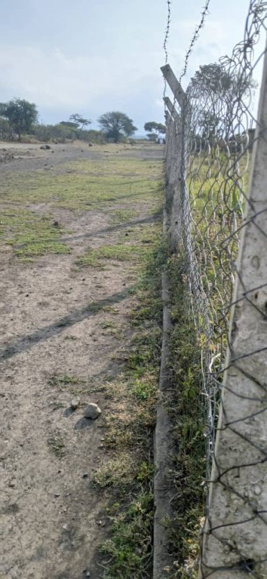 5 Zaunansichten Der Zaun von rechts